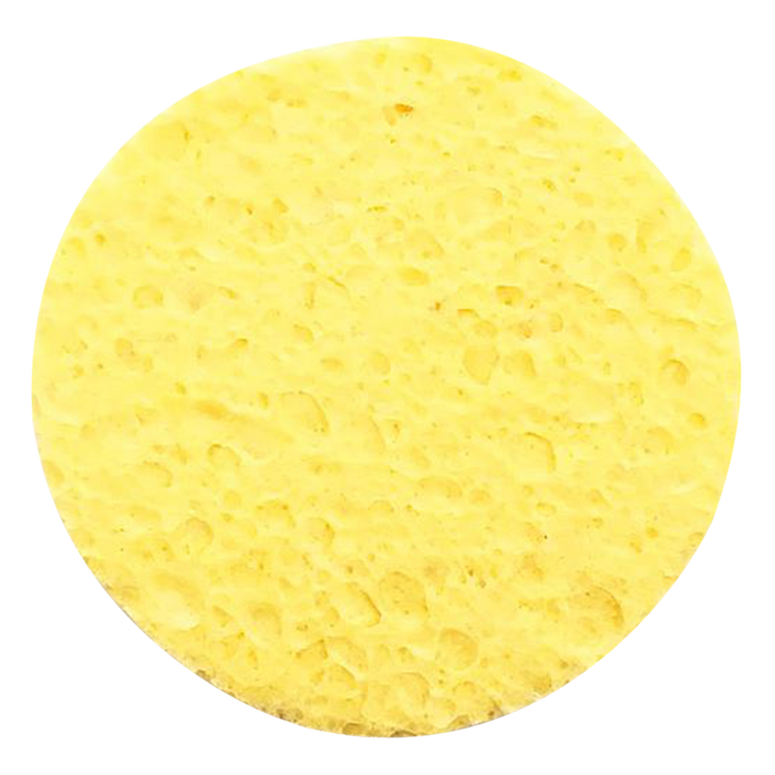 500024